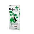 Defenza